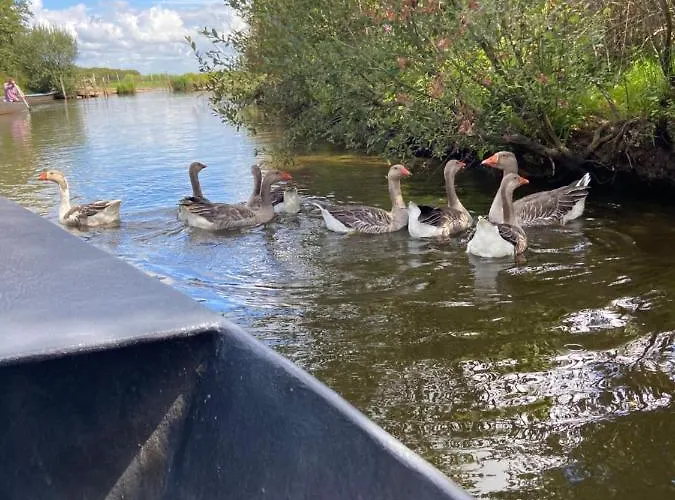 Feriehus Maison Avec Piscine Saint-André-des-Eaux