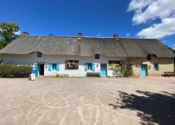 Maison Avec Piscine * Saint-André-des-Eaux